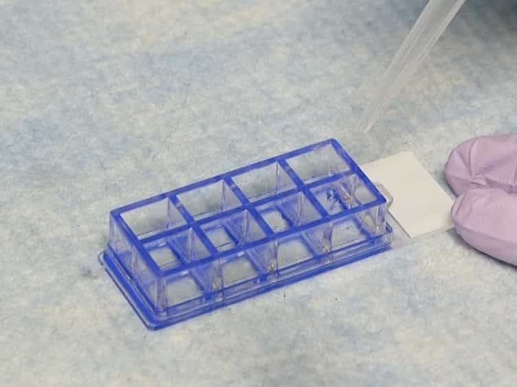 A Method of Targeted Cell Isolation via Glass Surface Functionalization