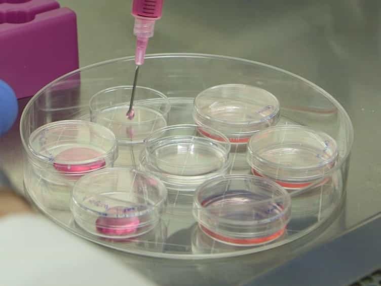 Reprogramming Mouse Embryonic Fibroblasts with Transcription Factors to Induce a Hemogenic Program