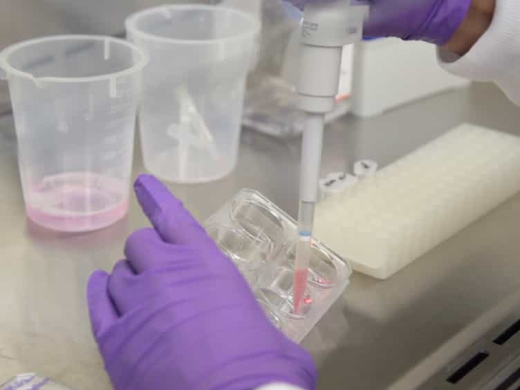 Isolation of Cognate RNA-protein Complexes from Cells Using Oligonucleotide-directed Elution