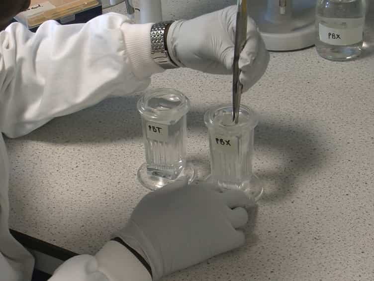 Detection of Modified Forms of Cytosine Using Sensitive Immunohistochemistry