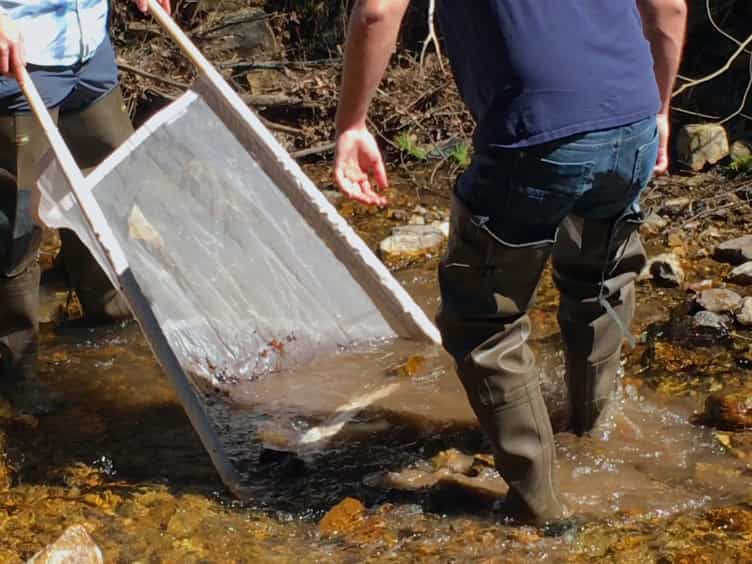 A Simple Approach to Manipulate Dissolved Oxygen for Animal Behavior Observations