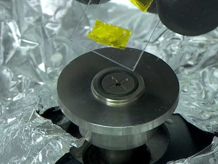Capture and Release of Viable Circulating Tumor Cells from Blood
