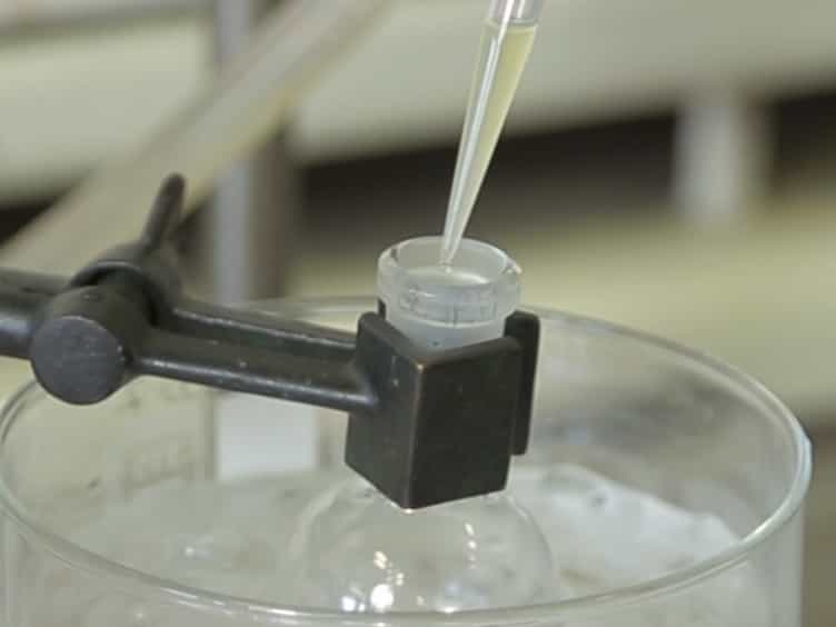 The Synthesis of RGD-functionalized Hydrogels as a Tool for Therapeutic Applications