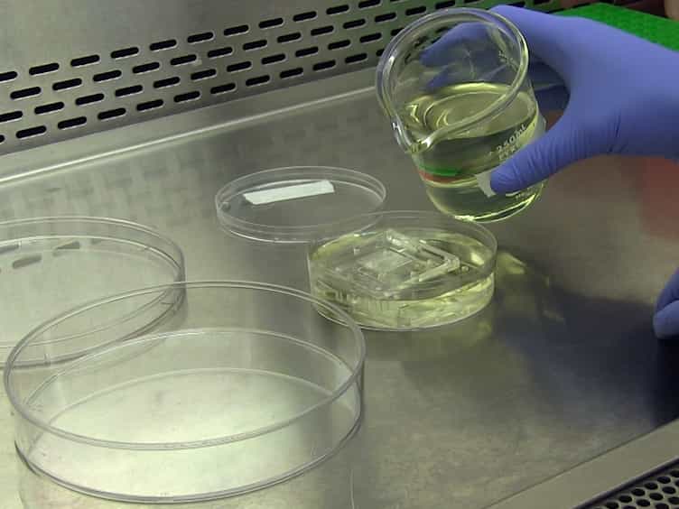 Micropatterning and Assembly of 3D Microvessels