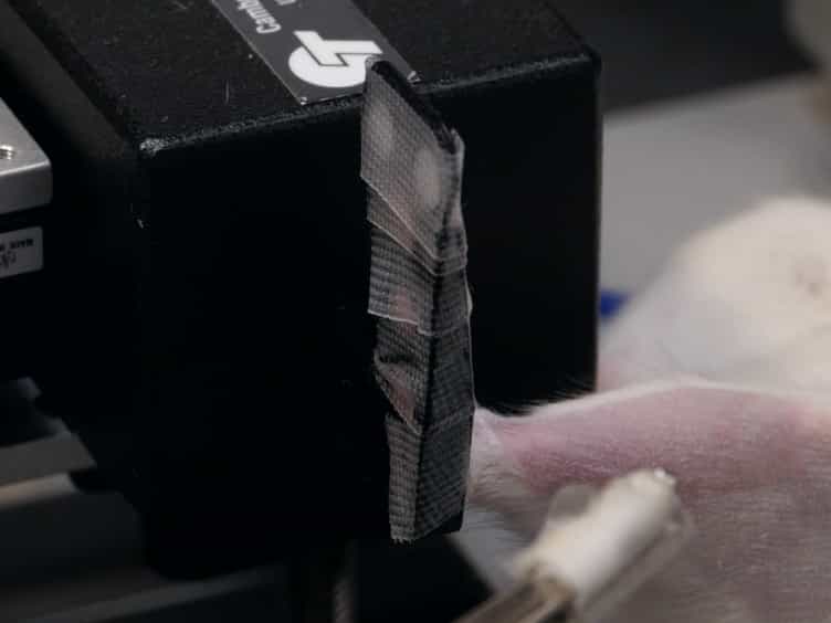 Applications of In Vivo Functional Testing of the Rat Tibialis Anterior for Evaluating Tissue Engineered Skeletal Muscle Repair