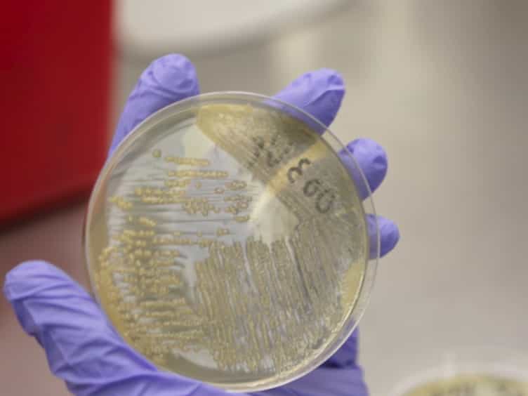 Development of a More Sensitive and Specific Chromogenic Agar Medium for the Detection of Vibrio parahaemolyticus and Other Vibrio Species