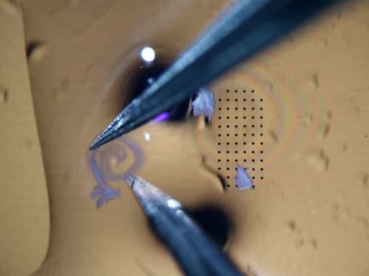 Spiral Ganglion Neuron Explant Culture and Electrophysiology on Multi Electrode Arrays