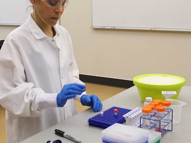 Antibody Labeling with Fluorescent Dyes Using Magnetic Protein A and Protein G Beads