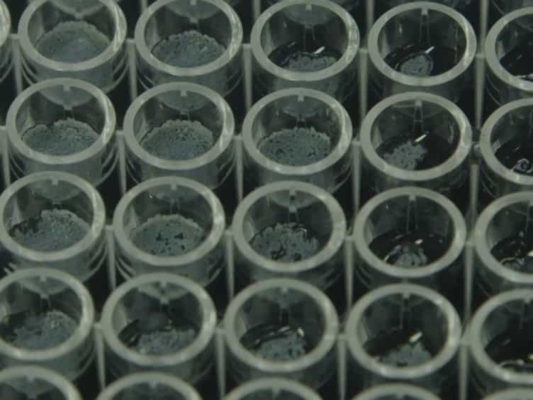 Visualization of the Charcoal Agar Resazurin Assay for Semi-quantitative, Medium-throughput Enumeration of Mycobacteria