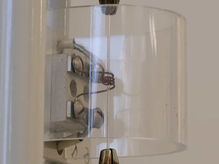 Neuropharmacological Manipulation of Restrained and Free-flying Honey Bees, Apis mellifera