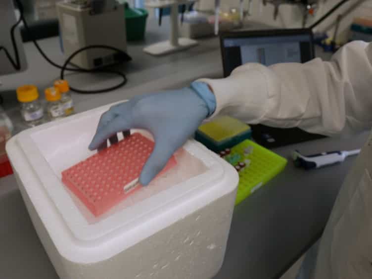 Automated Robotic Liquid Handling Assembly of Modular DNA Devices