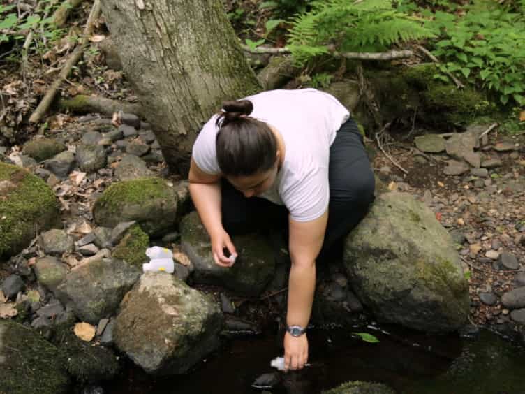 Understanding Dissolved Organic Matter Biogeochemistry Through In Situ Nutrient Manipulations in Stream Ecosystems