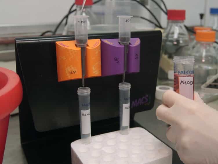 Detection of Trypanosoma brucei Variant Surface Glycoprotein Switching by Magnetic Activated Cell Sorting and Flow Cytometry