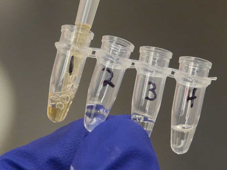 Screening for Endocrine Activity in Water Using Commercially-available In Vitro Transactivation Bioassays