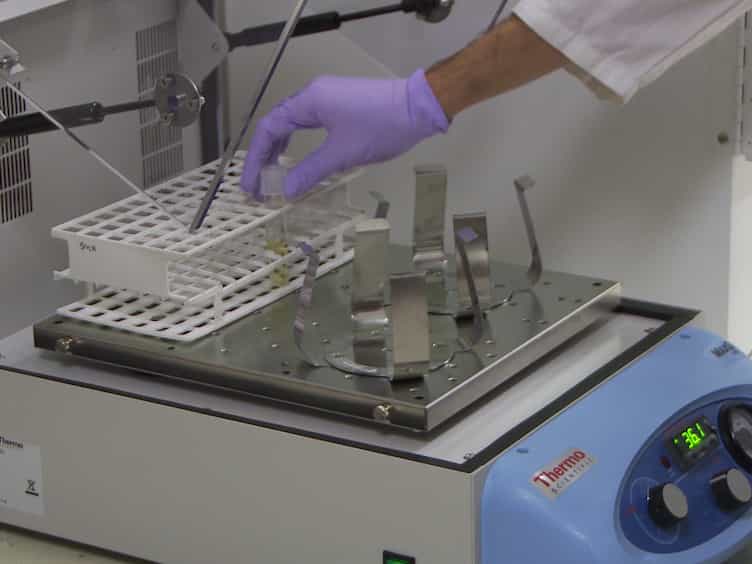 Simple and Efficient Production and Purification of Mouse Myelin Oligodendrocyte Glycoprotein for Experimental Autoimmune Encephalomyelitis Studies