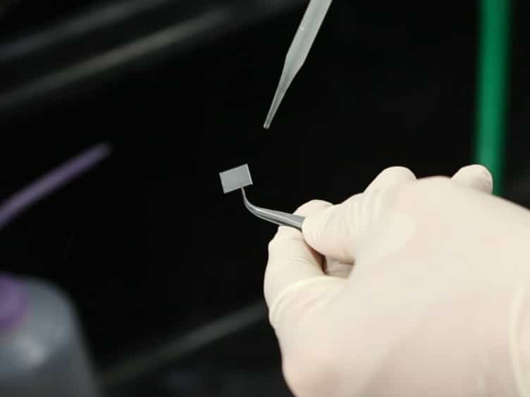 Biofilm Removal Using Carbon Dioxide Aerosols without Nitrogen Purge