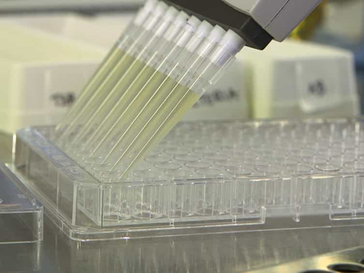 A Platform of Anti-biofilm Assays Suited to the Exploration of Natural Compound Libraries