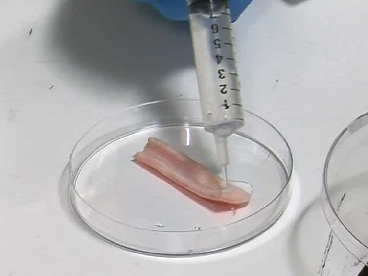 Biomechanical Characterization of Human Soft Tissues Using Indentation and Tensile Testing