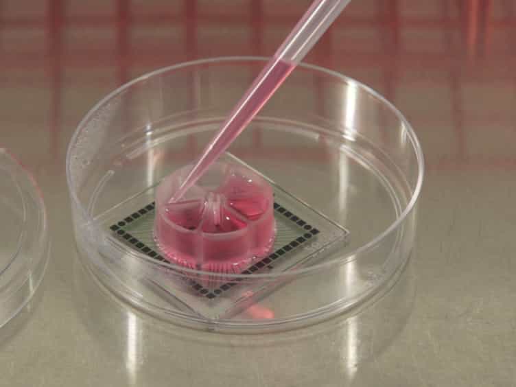 Rapid Neuronal Differentiation of Induced Pluripotent Stem Cells for Measuring Network Activity on Micro-electrode Arrays