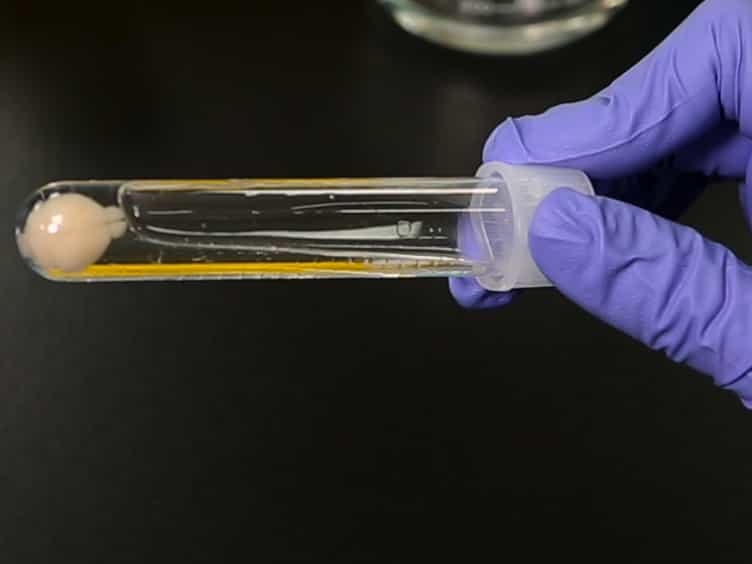 ACT-PRESTO: Biological Tissue Clearing and Immunolabeling Methods for Volume Imaging