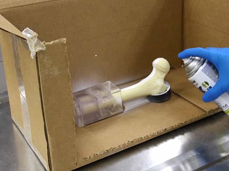 A Method to Estimate Cadaveric Femur Cortical Strains During Fracture Testing Using Digital Image Correlation