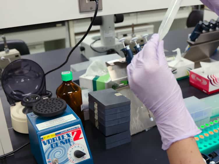 An Efficient Method for the Isolation of Highly Purified RNA from Seeds for Use in Quantitative Transcriptome Analysis