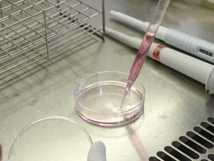 Establishment of Proliferative Tetraploid Cells from Nontransformed Human Fibroblasts