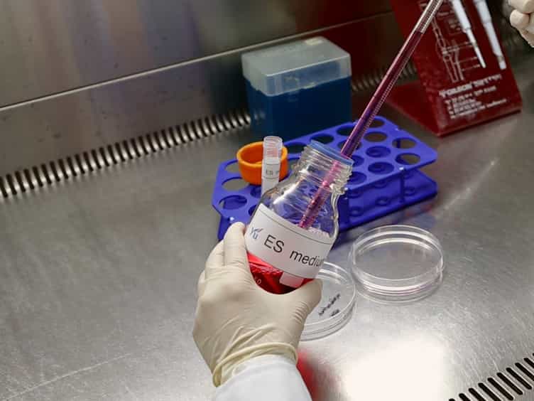 Collection of Serum- and Feeder-free Mouse Embryonic Stem Cell-conditioned Medium for a Cell-free Approach
