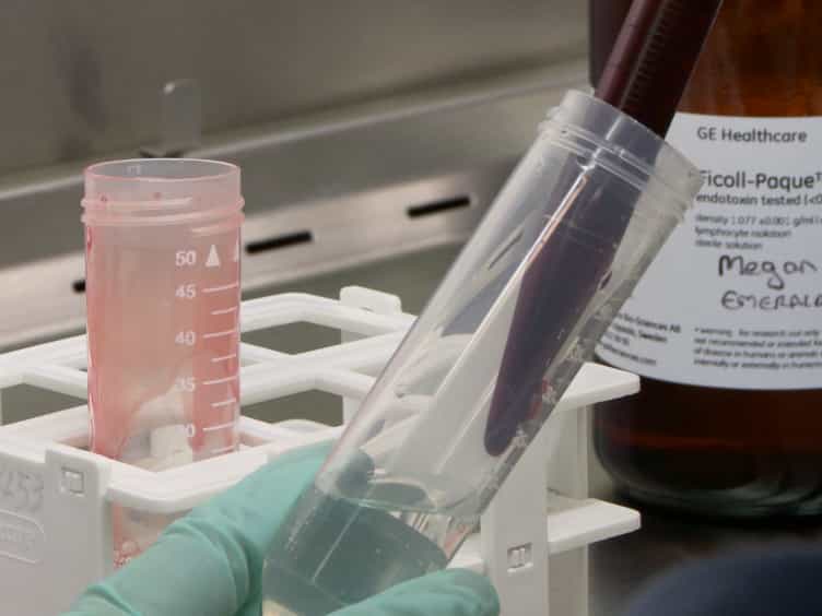 Use of a Monocyte Monolayer Assay to Evaluate Fcγ Receptor-mediated Phagocytosis