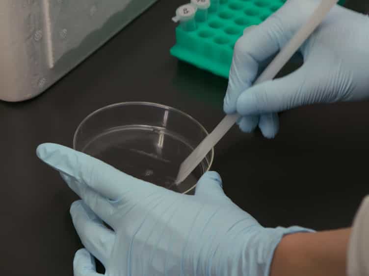A Protein Preparation Method for the High-throughput Identification of Proteins Interacting with a Nuclear Cofactor Using LC-MS/MS Analysis