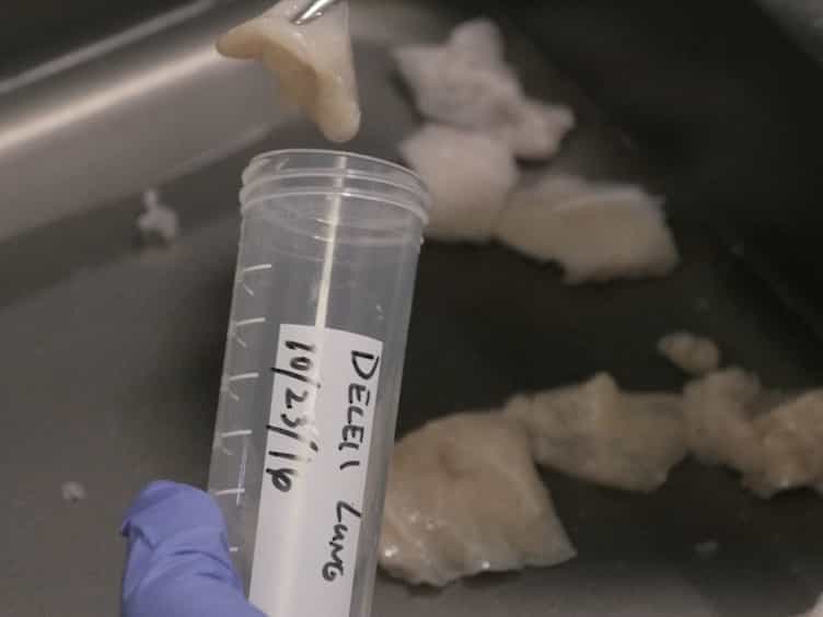 Tunable Hydrogels from Pulmonary Extracellular Matrix for 3D Cell Culture