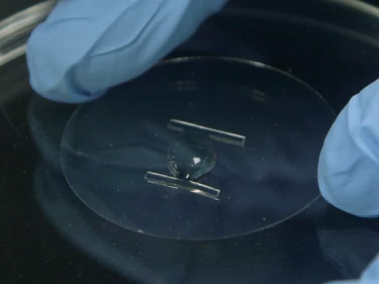 Image-guided, Laser-based Fabrication of Vascular-derived Microfluidic Networks