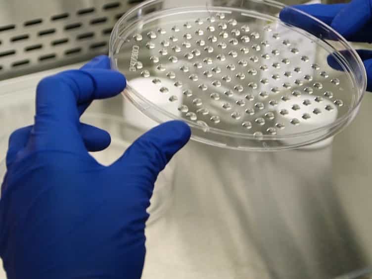 Production and Administration of Therapeutic Mesenchymal Stem/Stromal Cell MSC Spheroids Primed in 3-D Cultures Under Xeno-free Conditions