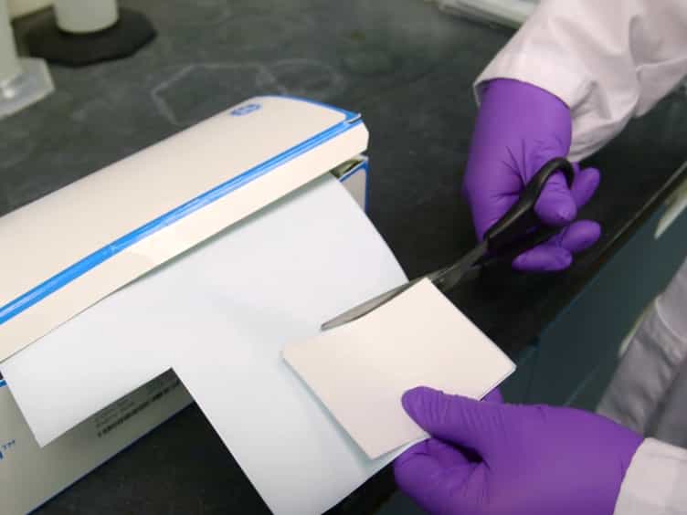 Quantification of Bacterial Histidine Kinase Autophosphorylation Using a Nitrocellulose Binding Assay