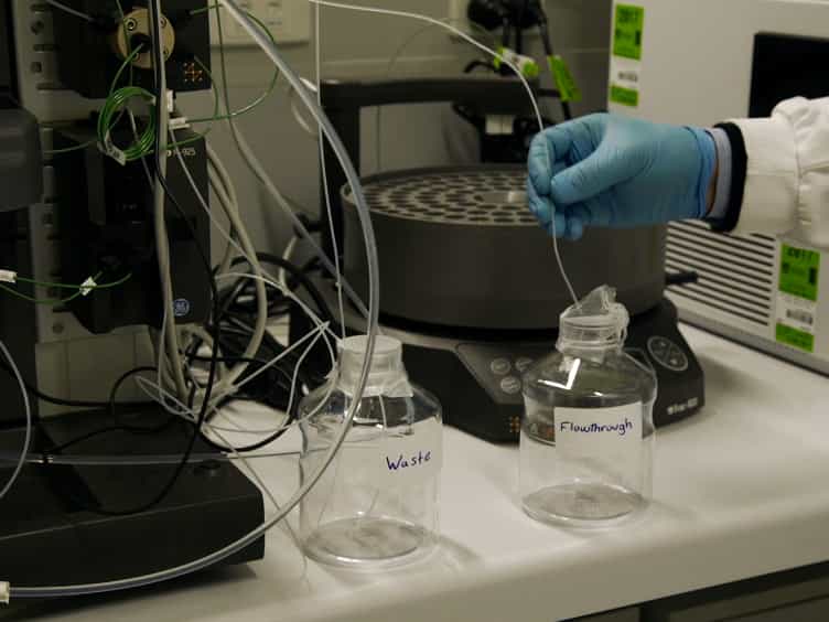 Laboratory Scale Production and Purification of a Therapeutic Antibody