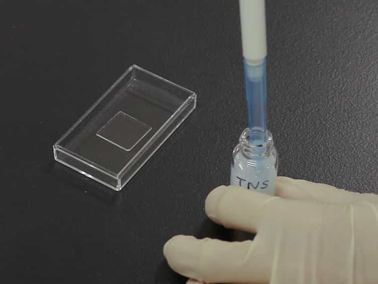 In Situ Synthesis of Gold Nanoparticles without Aggregation in the Interlayer Space of Layered Titanate Transparent Films