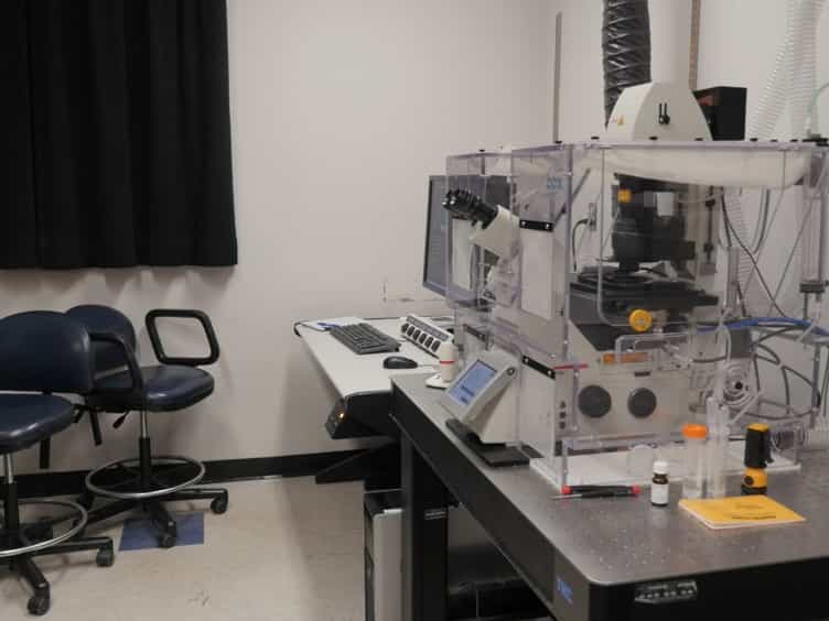 Live Cell Imaging and 3D Analysis of Angiotensin Receptor Type 1a Trafficking in Transfected Human Embryonic Kidney Cells Using Confocal Microscopy