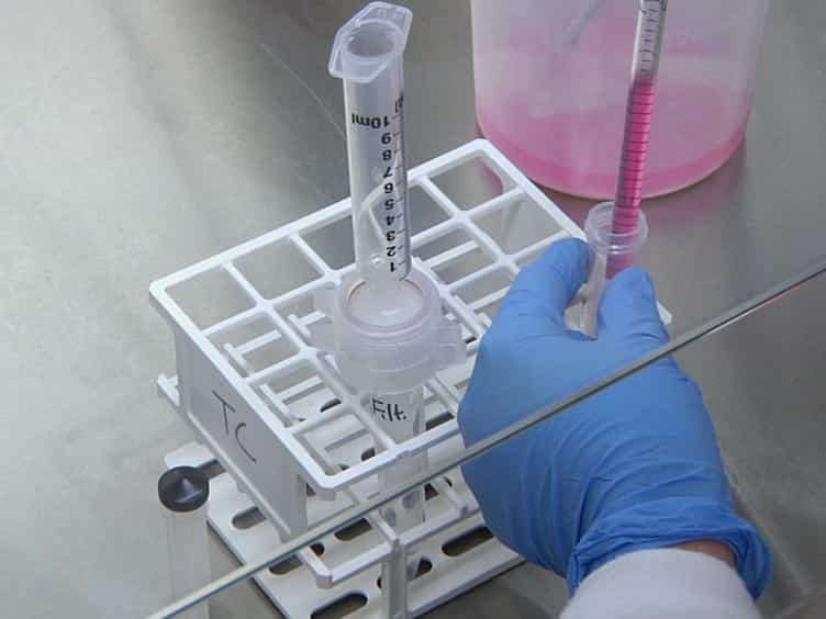 QTL Mapping and CRISPR/Cas9 Editing to Identify a Drug Resistance Gene in Toxoplasma gondii