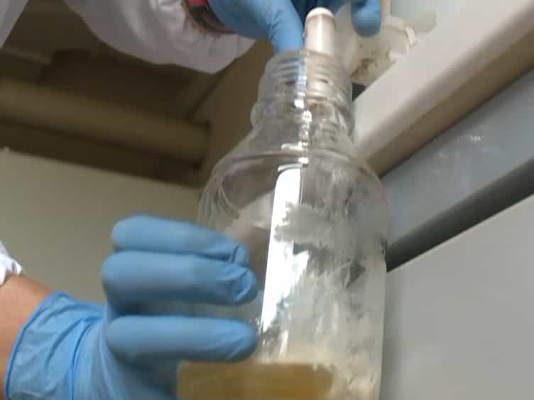 Ecotoxicological Method with Marine Bacteria Vibrio anguillarum to Evaluate the Acute Toxicity of Environmental Contaminants