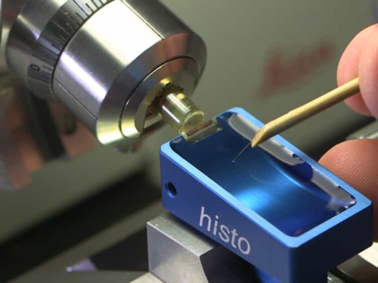 Preparation and Observation of Thick Biological Samples by Scanning Transmission Electron Tomography
