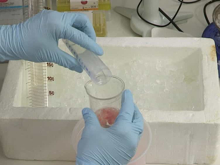 Isolation of Intact Mitochondria from Skeletal Muscle by Differential Centrifugation for High-resolution Respirometry Measurements