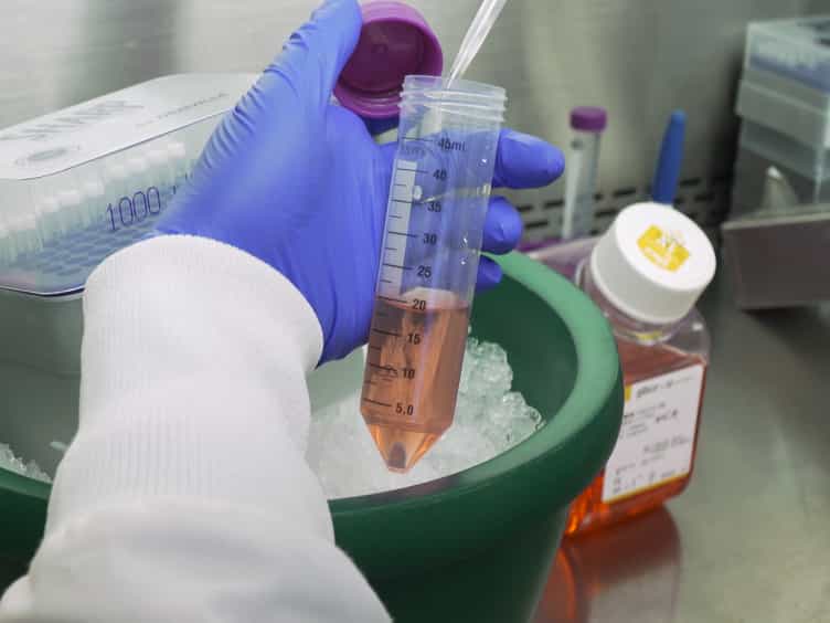 In Vitro Differentiation of Human Pluripotent Stem Cells into Trophoblastic Cells