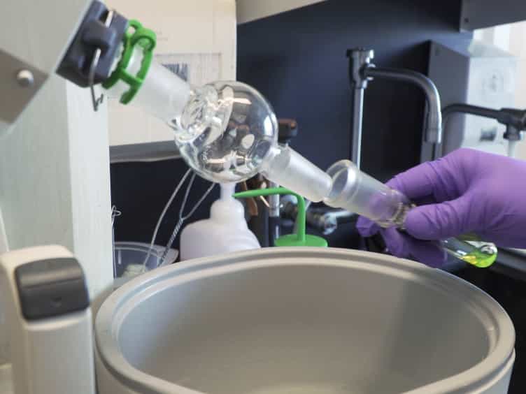 A Comprehensive Procedure to Evaluate the In Vivo Performance of Cancer Nanomedicines