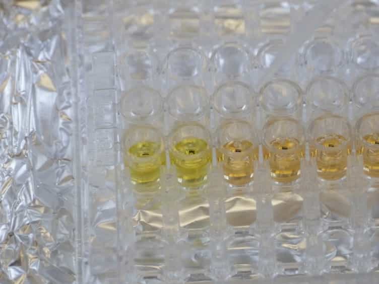 Using Synthetic Biology to Engineer Living Cells That Interface with Programmable Materials