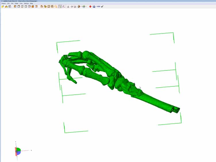 Scaled Anatomical Model Creation of Biomedical Tomographic Imaging Data and Associated Labels for Subsequent Sub-surface Laser Engraving SSLE of Glass Crystals