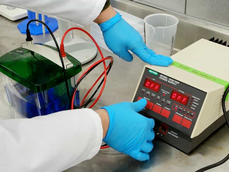 Multimer-PAGE: A Method for Capturing and Resolving Protein Complexes in Biological Samples
