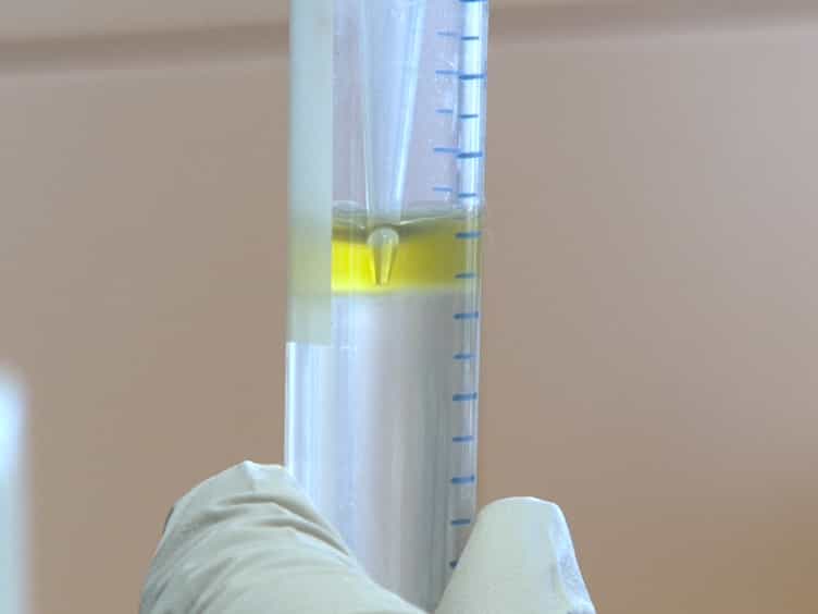 Isolation of Circulating Tumor Cells in an Orthotopic Mouse Model of Colorectal Cancer
