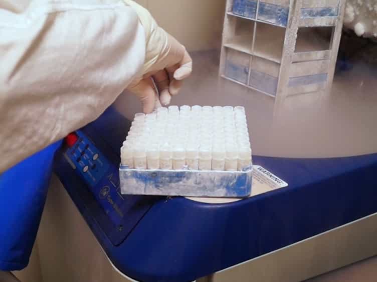 Determination of the Relative Potency of an Anti-TNF Monoclonal Antibody mAb by Neutralizing TNF Using an In Vitro Bioanalytical Method