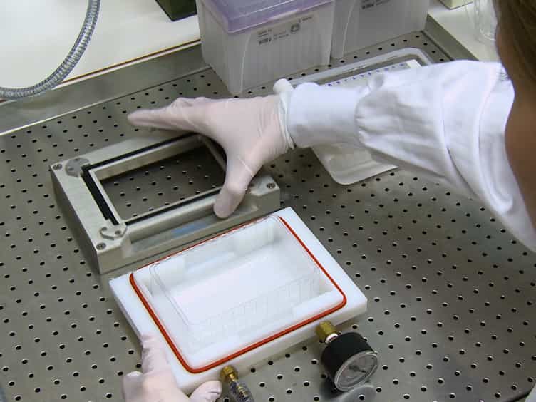 Absolute Quantification of Aβ1-42 in CSF Using a Mass Spectrometric Reference Measurement Procedure