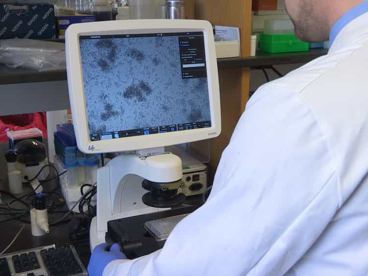 A High-throughput Compatible Assay to Evaluate Drug Efficacy against Macrophage Passaged Mycobacterium tuberculosis